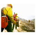 Fotografie Forest firefighters walking with pickaxes, rear, Tyler Stableford, 40 × 33.2 cm