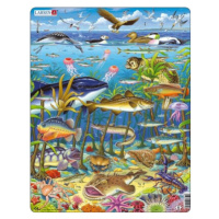 Puzzle Mořský život severního Atlantiku