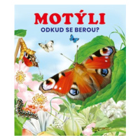 Motýli | Kolektiv, Kolektiv