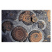 Ilustrace FOSSIL AMMONITES, JURASSIC, PROMICROCERAS PLANICOSTA, UK., Kevin Schafer, 40 × 26.7 cm