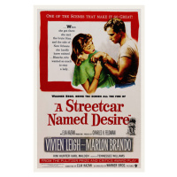 Ilustrace A Streetcar Named Desire / Marlon Brando, 26.7 × 40 cm