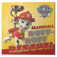 Obraz na plátně Paw Patrol - Marshall, 2 - 30×30 cm