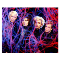 Fotografie Siouxsie and the Banshees, 40 × 30 cm