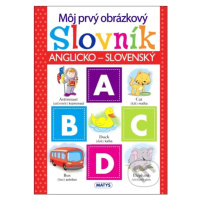 Môj prvý obrázkový slovník (Anglicko-slovenský) - kniha z kategorie Pro děti