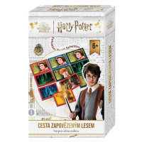 Hra Harry Potter Cesta Zapovězeným lesem