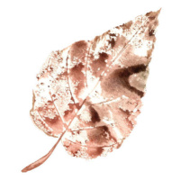 Ilustrace Brown Poplar Leaf, Maria Tolkacheva, 40 × 40 cm