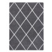 Dywany Lusczow Kusový koberec SKETCH JACK šedý / bílý trellis
