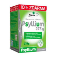 Psyllium vláknina 250g+10% ZDARMA