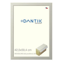 DANTIK rámeček 42 × 59,4, WOODLINE bílý prodřený plexi čiré