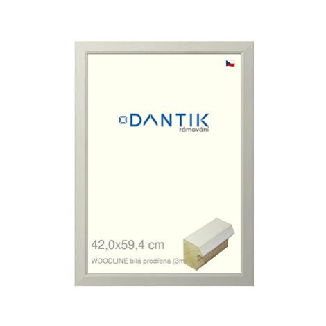 DANTIK rámeček 42 × 59,4, WOODLINE bílý prodřený plexi čiré