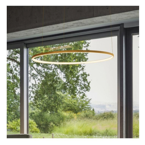 Ideal Lux - LED Lustr na lanku ORACLE SLIM LED/29W/230V CRI 90 pr. 50 cm zlatá 370408