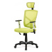Kancelářská židle KA-H104 Autronic Zelená