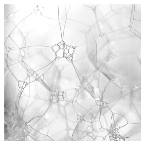 Plakát, Obraz - Extreme close up of bubbles in black and white, Zen Rial, 40 × 40 cm