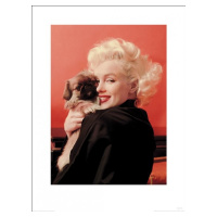 Umělecký tisk Marilyn Monroe - Love, 60x80 cm