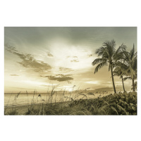 Fotografie BONITA BEACH Sunset | Vintage, Melanie Viola, (40 x 26.7 cm)