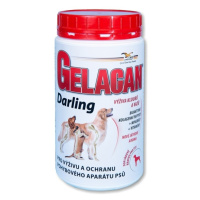 GELACAN Darling 500 g