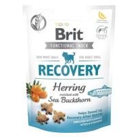 Brit Care Dog Functional Snack Recovery Herring 150 g