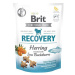 Brit Care Dog Functional Snack Recovery Herring 150 g