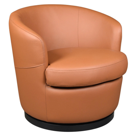 Xora DESIGNOVÉ KŘESLO, kůže, medová