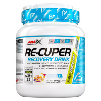 Amix Nutrition Re-Cuper 550g - lesní plody