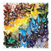 Galison Puzzle Duhoví motýli 500 dílků