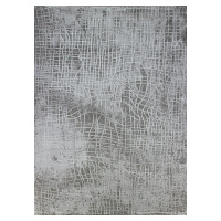 Berfin Dywany Kusový koberec Dizayn 2329 Grey - 200x290 cm