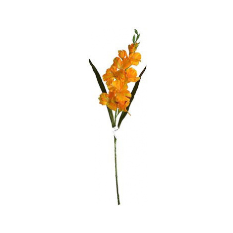 EverGreen Gladiola, výška 93 cm, barva žlutá