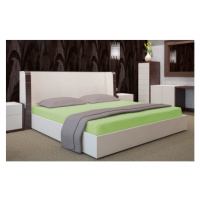 Bavlněná zelená plachta na postel Šířka: 90 cm | Délka: 200 cm