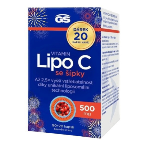 GS Vitamin Lipo C 500mg se šípky cps.90+20 dárek