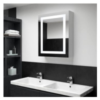 LED koupelnová zrcadlová skříňka 50 x 13 x 70 cm