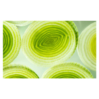 Fotografie Colorful green and yellow leek slices., tamjkelly, 40 × 24.6 cm