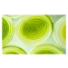 Fotografie Colorful green and yellow leek slices., tamjkelly, 40 × 24.7 cm