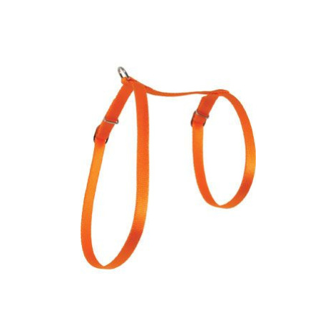 Postroj Kočka nylon 10mm oranžový Zolux