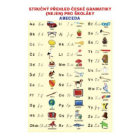 Stručný přehled české gramatiky (nejen) pro školáky