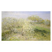 Obrazová reprodukce Spring – Fruit Trees in Bloom (1873), Claude Monet, 40 × 24.3 cm