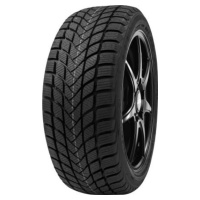 DELINTE 245/45 R 18 100V WINTER_WD6 TL XL M+S 3PMSF RPB DELINTE