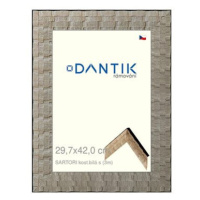 DANTIK rámeček 29,7 × 42, SARTORI kost.bílý s plexi čiré