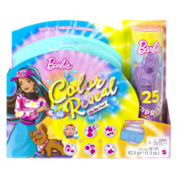 Barbie Color Reveal Neon