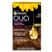 GARNIER Olia 5.3 Zlatá hnědá