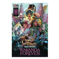 Plakát Black Panther: Wakanda Forever (202)
