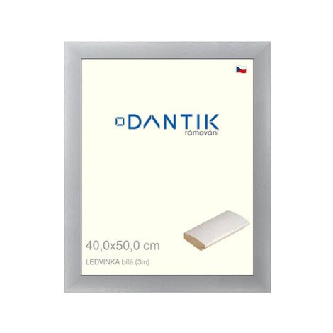 DANTIK rámeček 40 × 50, LEDVINKA bílý sklo čiré