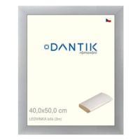 DANTIK rámeček 40 × 50, LEDVINKA bílý sklo čiré