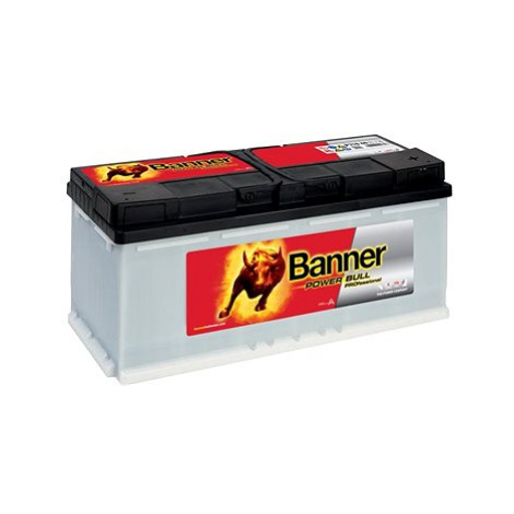BANNER Power Bull PROfessional 110Ah, 12V, P110 40
