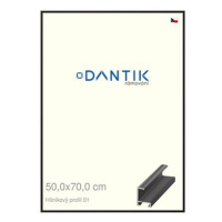 DANTIK rámeček 50 × 70, ALU profil 6001 Černý matný plexi čiré