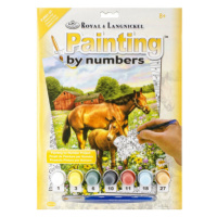 Malování podle čísel 22x30cm Koně na pastvě