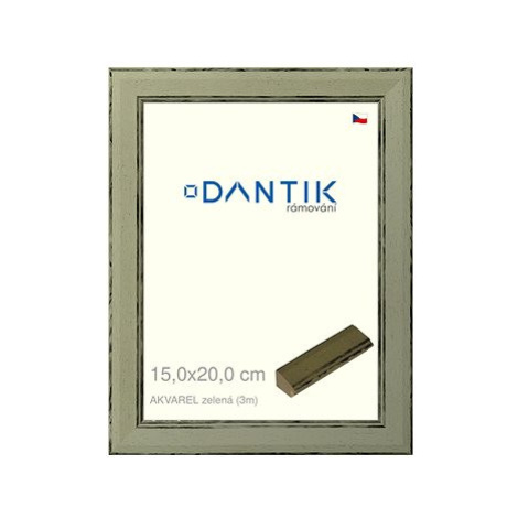 DANTIK rámeček 15 × 20, AKVAREL zelený sklo čiré