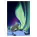 Fotografie Aurora borealis and polar bear, Patrick J. Endres, 26.7x40 cm