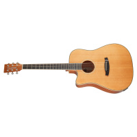 Tanglewood TW5 CE NA LH