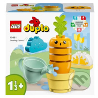 LEGO® DUPLO® 10981 Pestovanie mrkvy - hra z kategorie Duplo