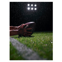 Fotografie Hands of american football player with, Phil Ashley, 30 × 40 cm